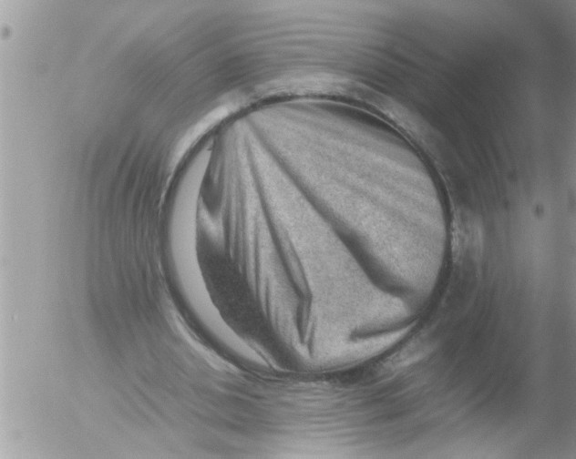 X0000054430438200508262351