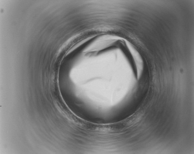 X0000054430440200508262351