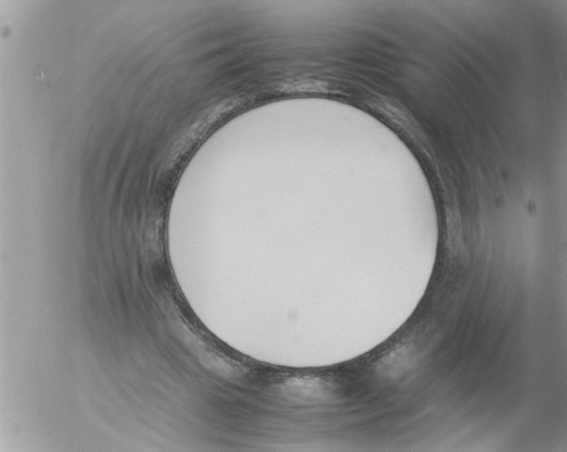 X0000054430441200508262351