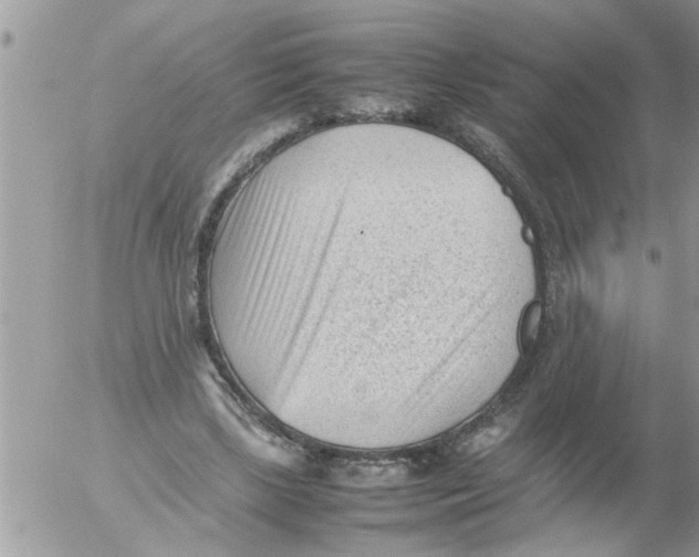 X0000054430443200508262351