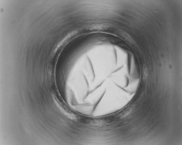 X0000054430444200508262351