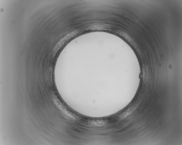 X0000054430445200508262351