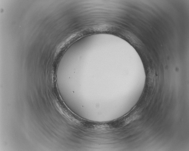 X0000054430446200508262351