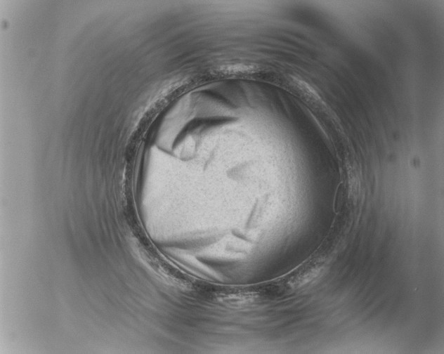 X0000054430447200508262351