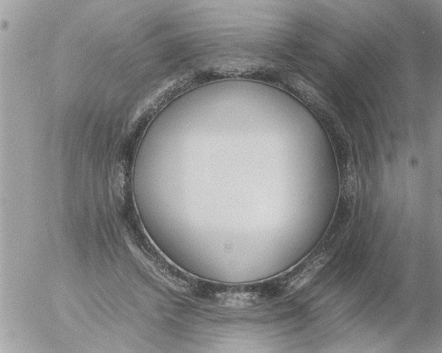 X0000054430448200508262351