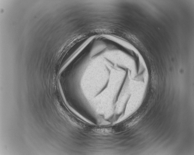 X0000054430449200508262351