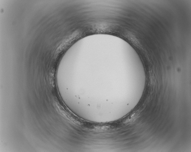 X0000054430450200508262351