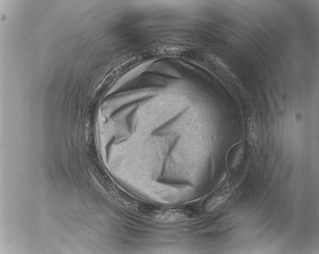 X0000054430451200508262351