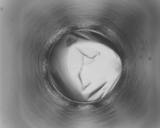 X0000054430452200508262352