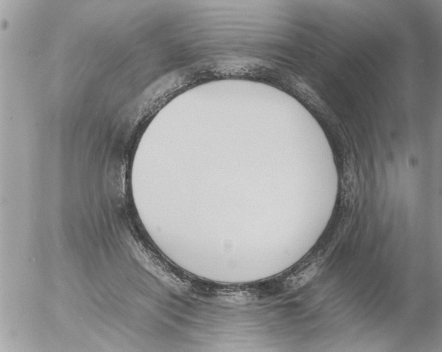 X0000054430454200508262352