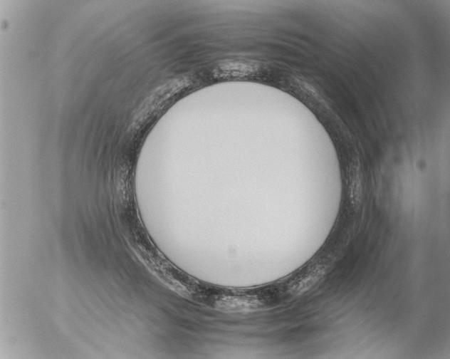 X0000054430455200508262352