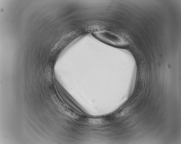 X0000054430457200508262352