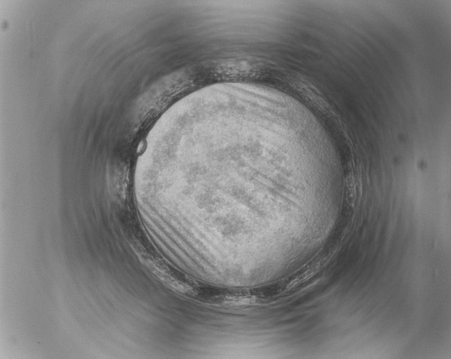 X0000054430458200508262352