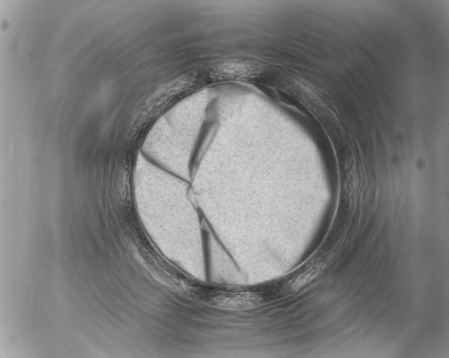 X0000054430459200508262352