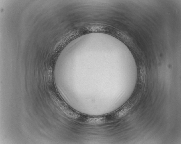 X0000054430461200508262352