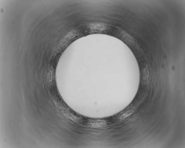 X0000054430463200508262352