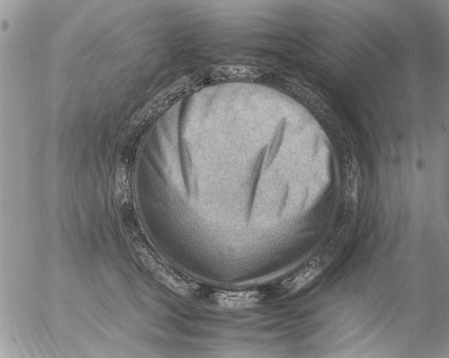 X0000054430465200508262352