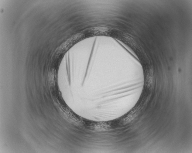 X0000054430468200508262352