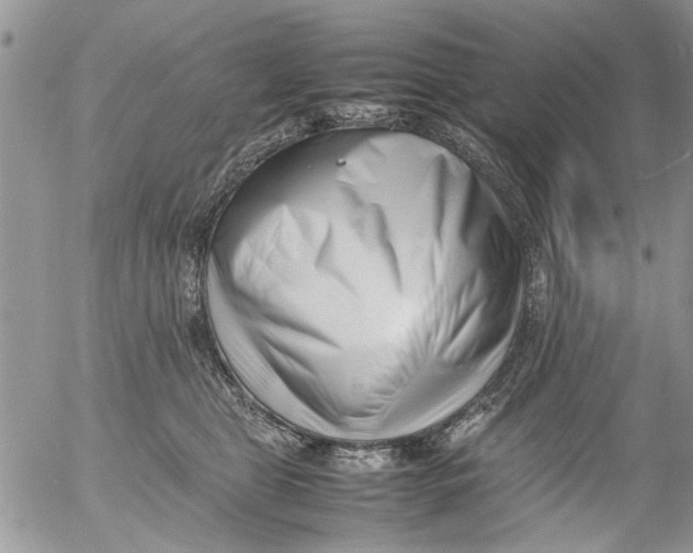 X0000054430469200508262352