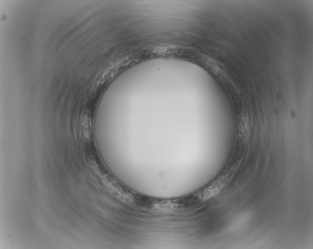 X0000054430470200508262352