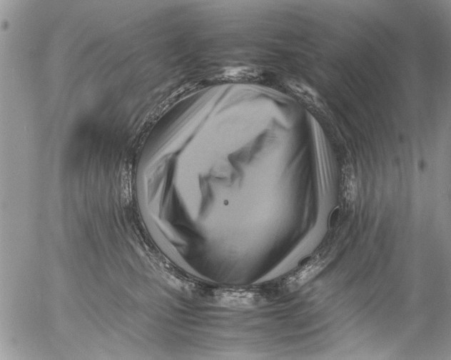 X0000054430471200508262352