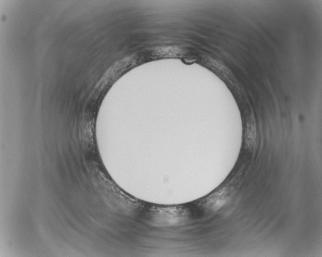 X0000054430473200508262352