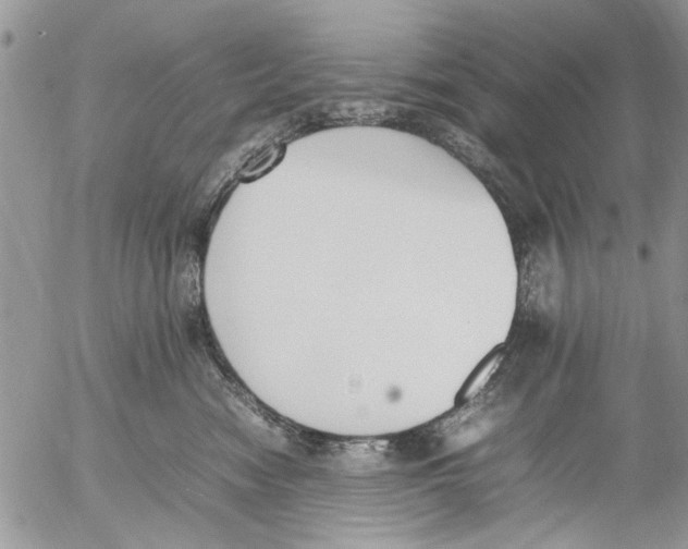 X0000054430474200508262352