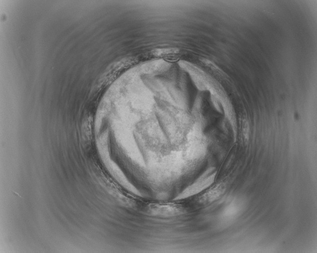 X0000054430475200508262352