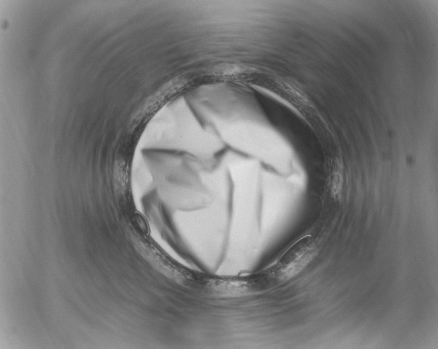 X0000054430476200508262352