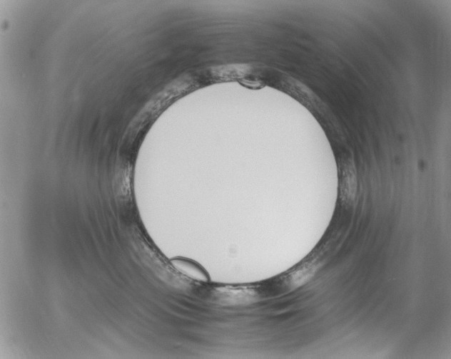 X0000054430477200508262352