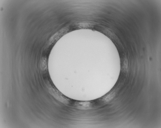 X0000054430478200508262352