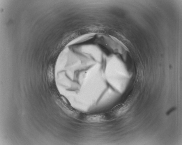 X0000054430479200508262352