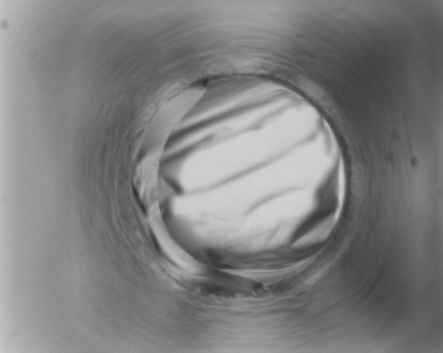 X0000054430481200508262351