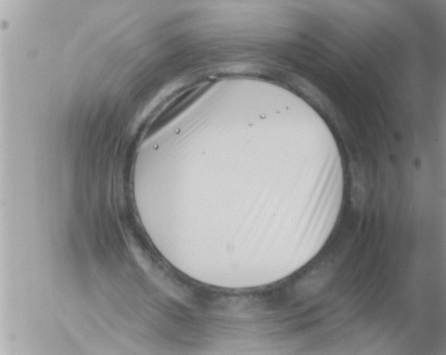 X0000054430482200508262351