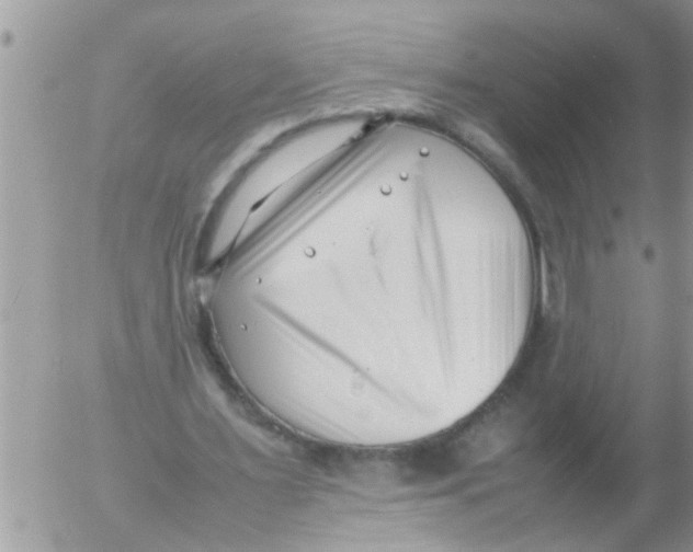 X0000054430483200508262351