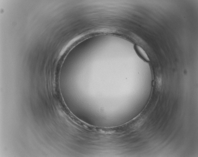 X0000054430484200508262351