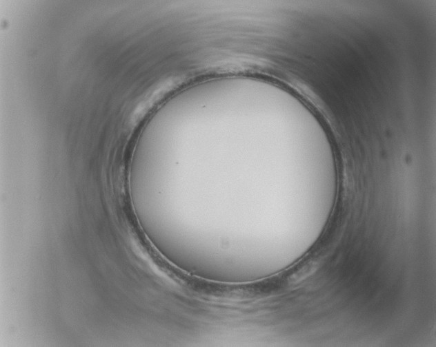 X0000054430485200508262351