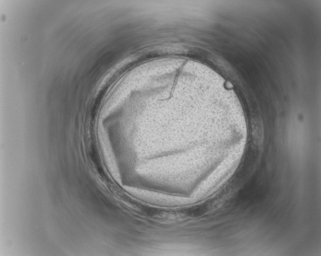 X0000054430487200508262351