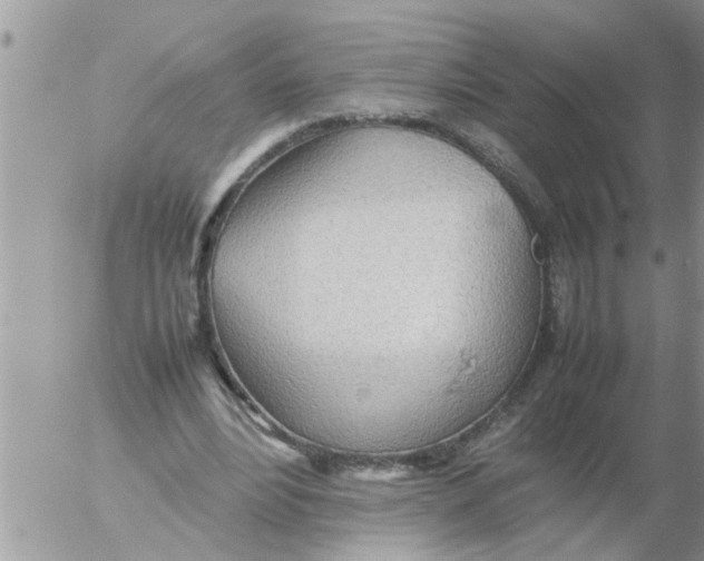 X0000054430488200508262351