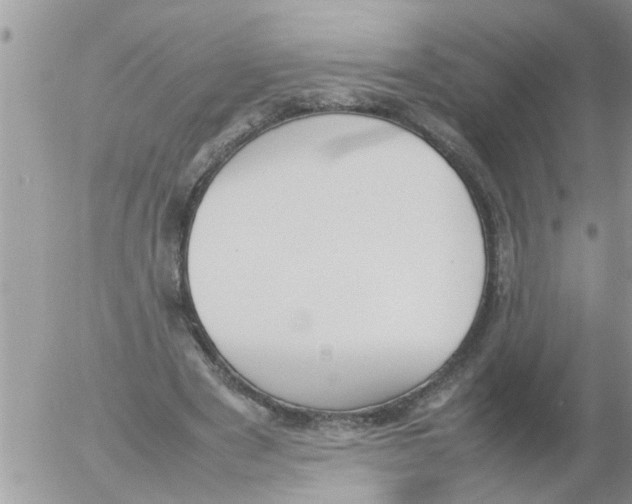 X0000054430489200508262351