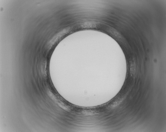 X0000054430490200508262351