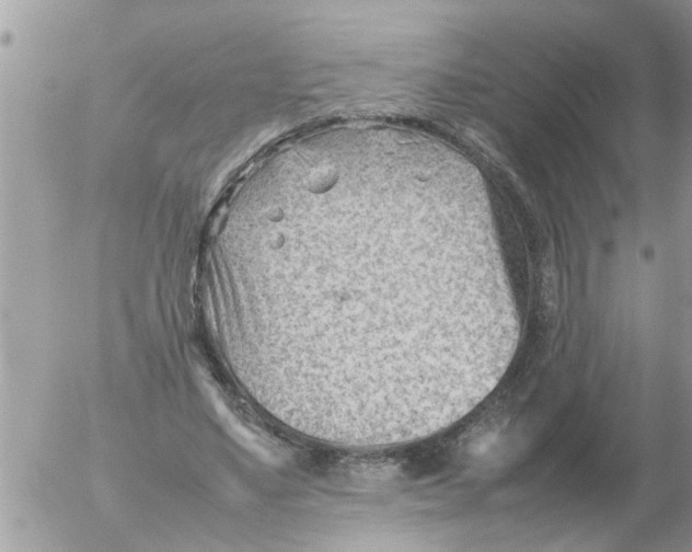 X0000054430491200508262351