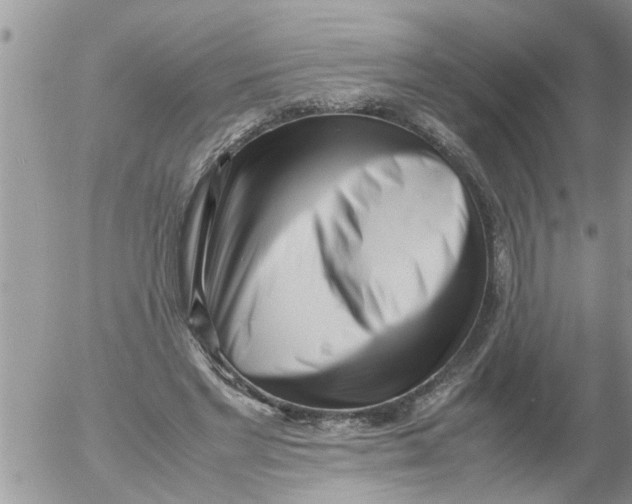 X0000054430493200508262351