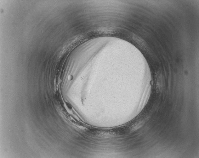 X0000054430494200508262351