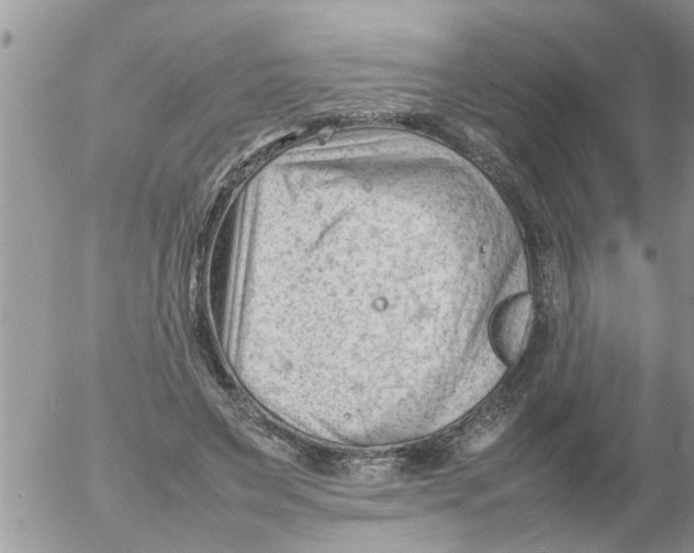 X0000054430495200508262351