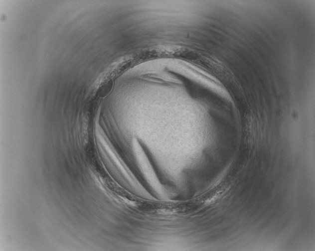 X0000054430496200508262351