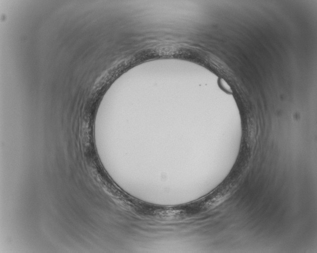 X0000054430497200508262351