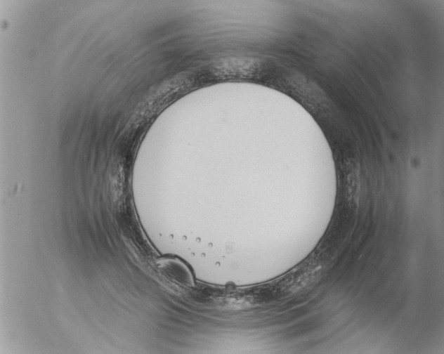 X0000054430498200508262351