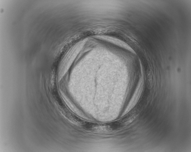 X0000054430499200508262351