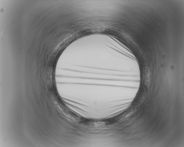 X0000054430501200508262351